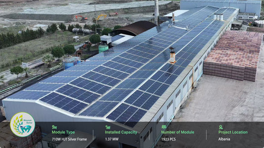 710W HJT N-Type bifacial glass glass silver frame panels 30 years warranty in stock Netherlands